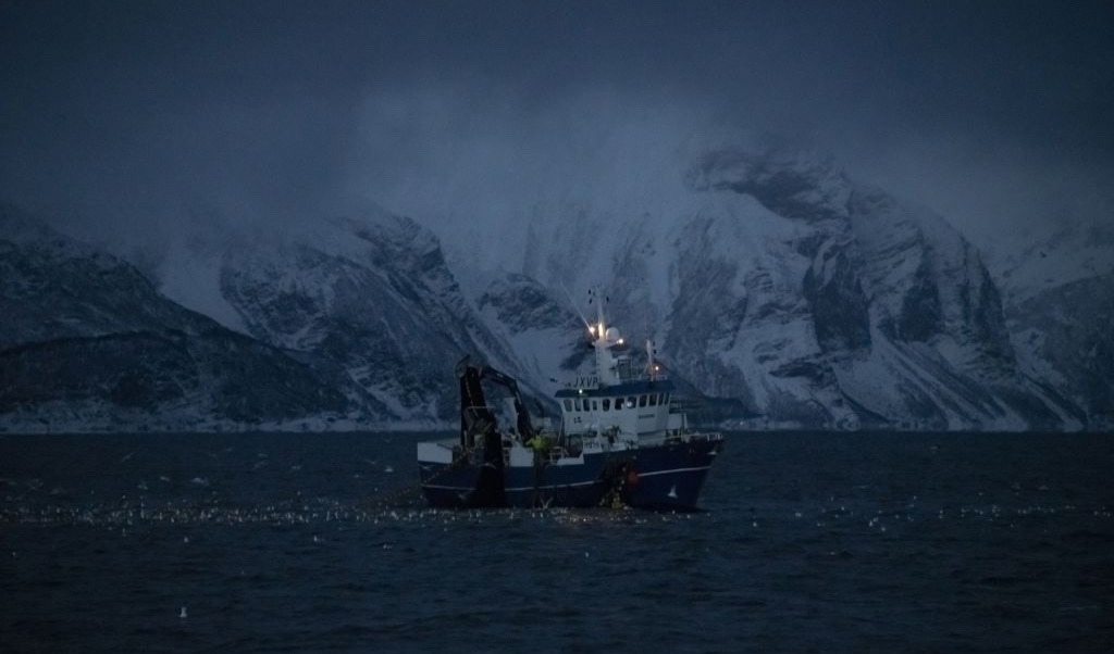 En trålare fiskar sill vid Skjervøy i norra Norge den 23 november 2021. Arkivbild. Foto: Olivier Morin/AFP via Getty Images