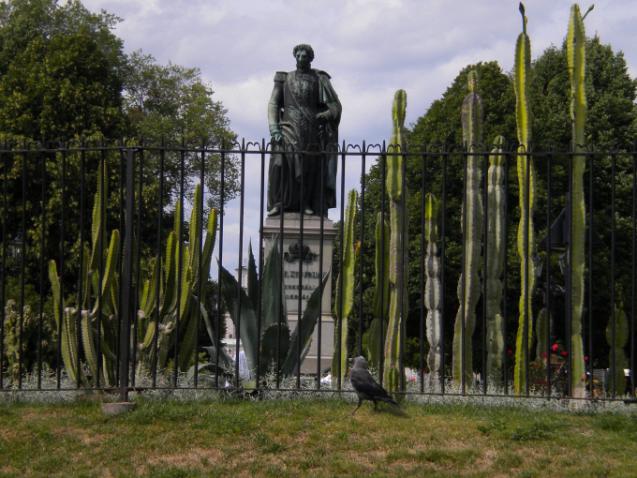 kaktus__carl_XIV_johan 5