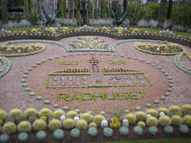 kaktus_raadhuset_1 3