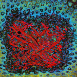 Tunga. (Foto: National Center for Microscopy and Imaging Research)