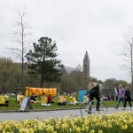 Slottskogen blommade av narcisser och träden var på väg att slå ut. I bakgrunden visas Falun Dafas övningar. (Foto: Khosro Zabihi/Epoch Times)