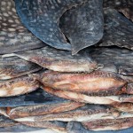 Valhajsfenor torkas och staplas för export. Den här fabriken i Puqi i Kinas Zhejiang-provins styckar 600 valhajar varje år. (Foto: WildLifeRisk)