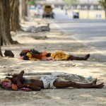 Hemlösa män söker skugga under träden i Allahabad den 13 maj.(Foto: Sanjay Kanojia/AFP/Getty Images)