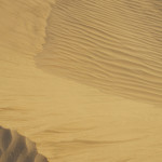 Vinden bildar vågformationer i sanden.