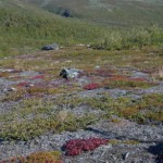 Vistasdalen i höstskrud med snöklädda toppar i bakgrunden. (Foto: Maria Hellström, Epoch Times)