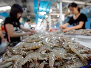 Räkor till försäljning i Peking i Kina. (Foto: Teh Eng Koon /AFP/ Getty Images)