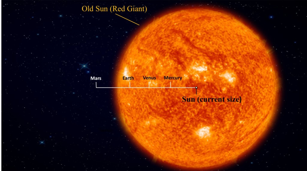 Storleksjämförelse mellan vår sol i dag, och när den blir en röd jätte. (Foto: Ramses Ramirez)