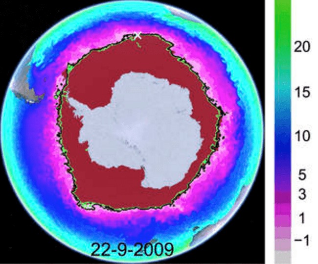 Data från NASA över rörelser i den antarktiska havsisen (juni-september 2008) tillsammans med kartor över istyper. Vit=grov, äldre is, ljusblå=äldre is, mörkblå=yngre is, röd=is med smältvatten på, grå=permanent is, brun=land, djupblå=öppet vatten. Röda/svarta prickar är spår av isens rörelse över tiden. (Foto: NASA/JPL-Caltech/University of Washington, U.S. National Ice Center)
