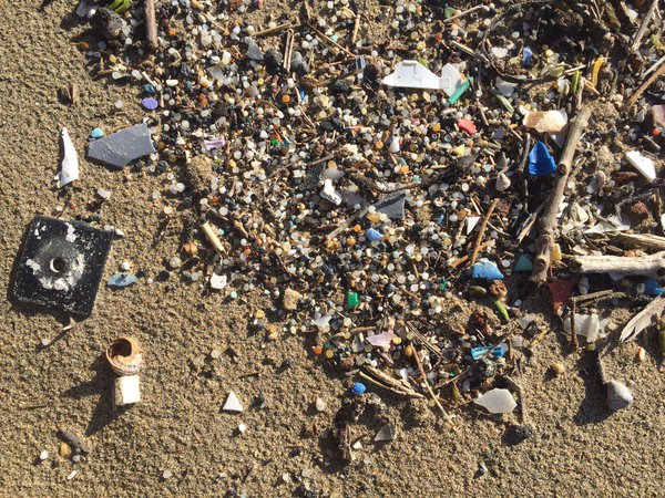 Plastavfall på en strand. (Foto med tillstånd från Charles Rolsky)