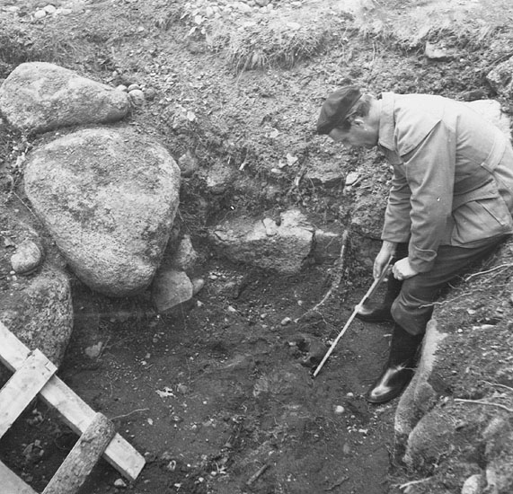 Bild från den arkeologiska utgrävningen på Gammplatsen i Lycksele 1950. (Foto: Karl Cajmatz/Västerbottens museum)