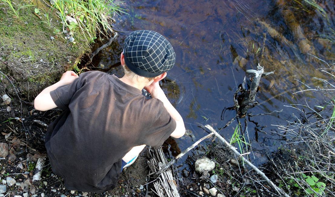 



Vattnet i älven är fullt drickbart. Foto: Eva Sagerfors                                                                                                                                                                                                