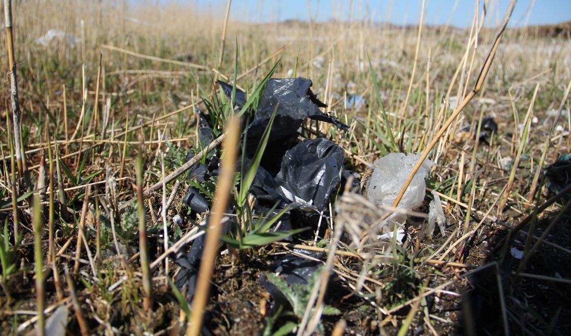 48 000 personer plockade sammanlagt 170 ton skräp på svenska stränder vid årets upplaga av Nordiska kusträddardagen. Foto: Håll Sverige rent/TT