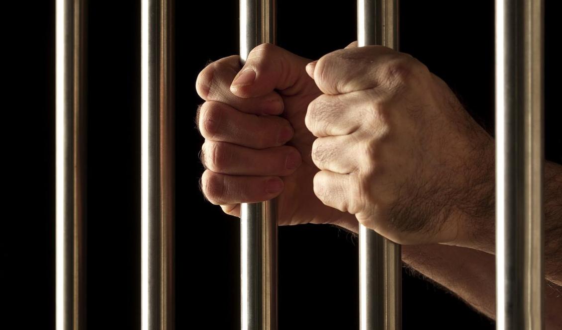 
Foto: Ashby C Sorensen                                                