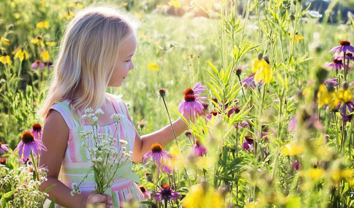 




Foto: Jill Wellington                                                                                                                                                                                                                                                