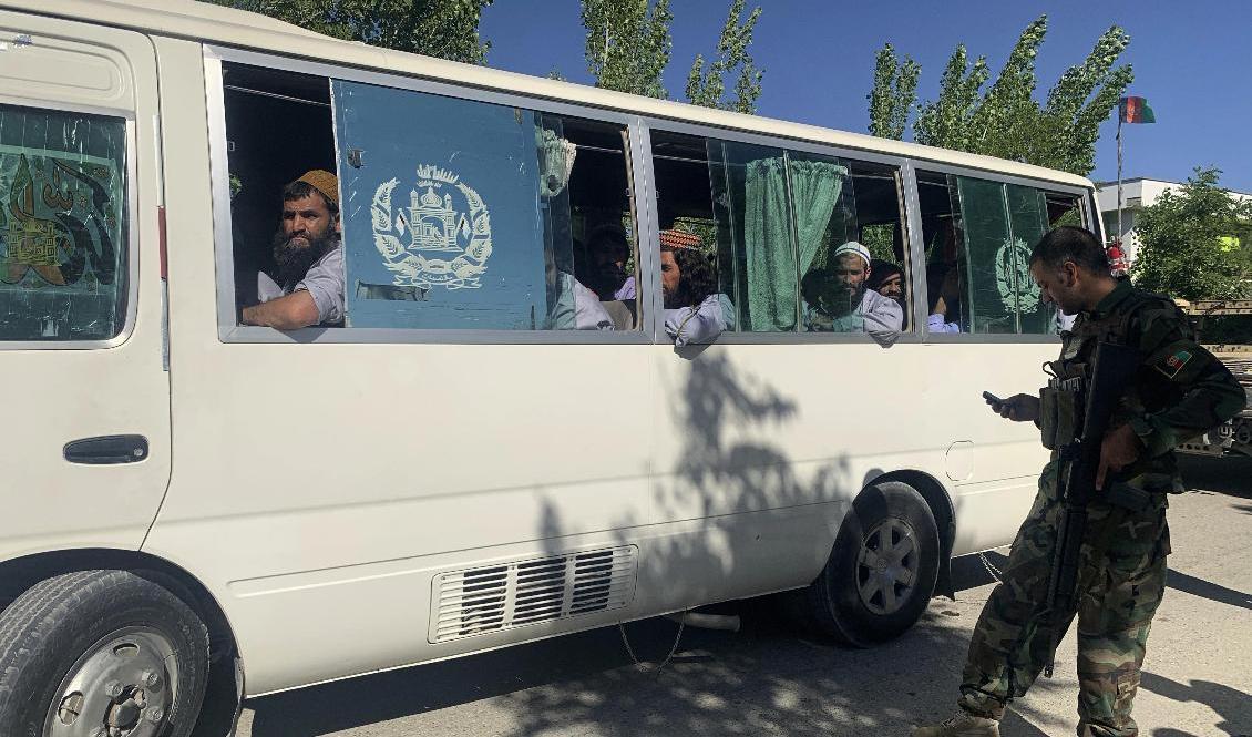 Talibaner som släpptes på tisdagen. Foto: Rahmat Gul/AP/TT