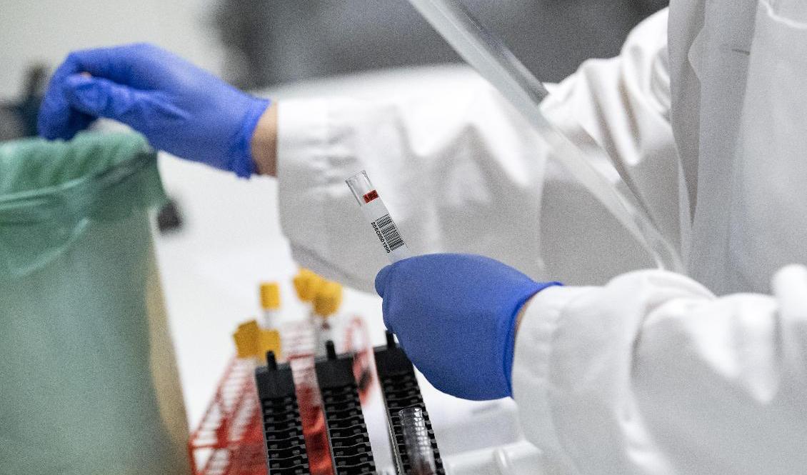 En majoritet av landets regioner avvaktar med antikroppstester, och fokuserar i stället på de tester som visar om man har en pågående infektion. Foto: Johan Nilsson/TT-arkivbild