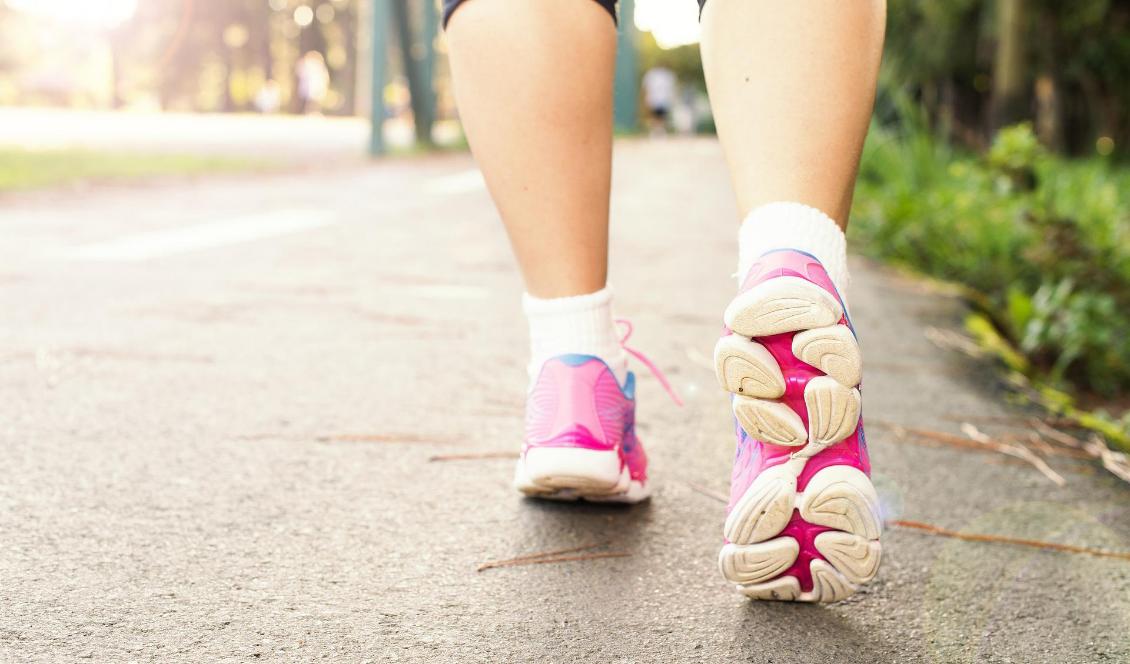 






Foto: Daniel Reche/Pixabay                                                                                                                                                                                                                                                                                                                    