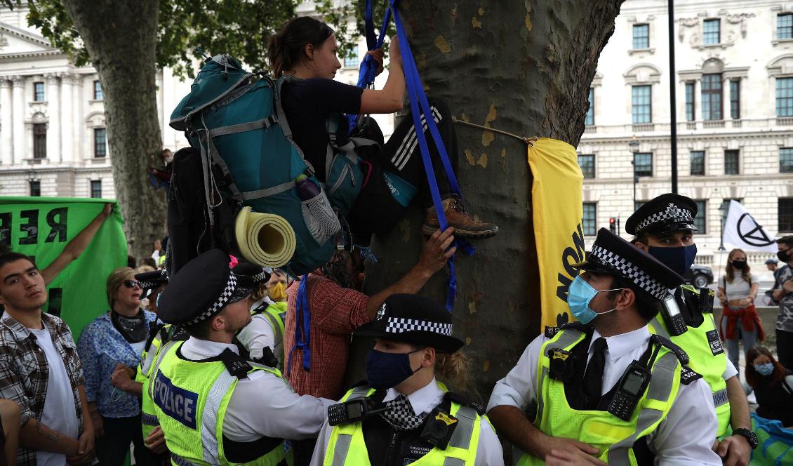 
En aktivist klättrar upp i ett träd vid Parlamentstroget i London under en protestaktion den 2 september 2020. Foto: Dan Kitwood/Getty Images                                            
