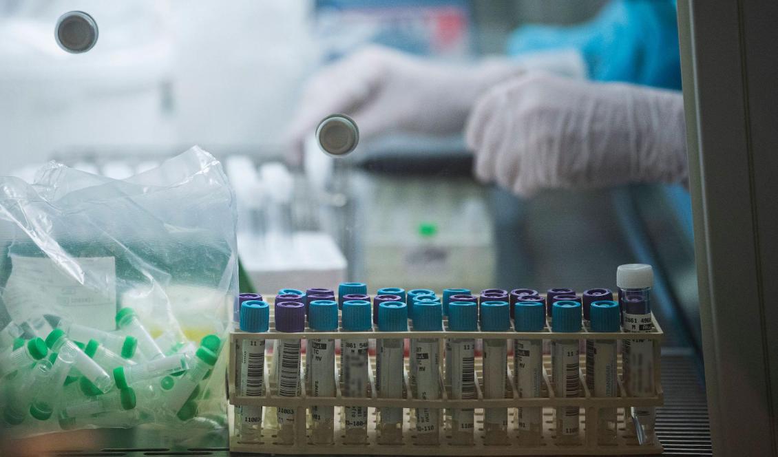 Enligt folkhälsomyndighetens statistik har kommunerna utfört cirka 5,3 miljoner PCR-test bara under det senaste halvåret. Under vecka 2 nådde man rekordnivåer med över 524 000 genomförda tester till en kostnad av drygt 576 miljoner kronor. Foto: Jonathan Näckstrand/AFP via Getty Images