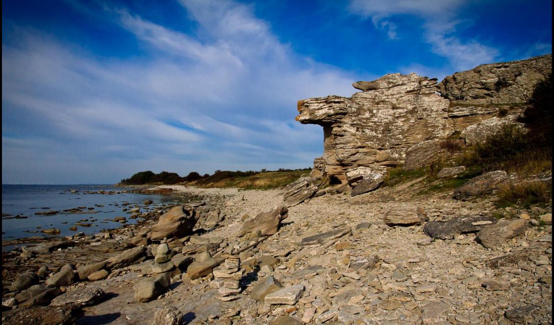 
Det finns mycket att upptäcka på vår öde ö som kan komma till användning. Multiverktyg är bra om packningen måste begränsas. Foto: Bilbo Lantto                                            