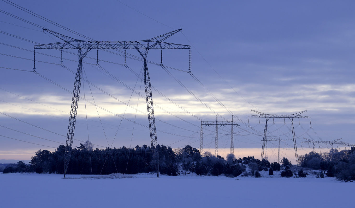 I januari kommer elchocken. Arkivbild. Foto: Janerik Henriksson/TT