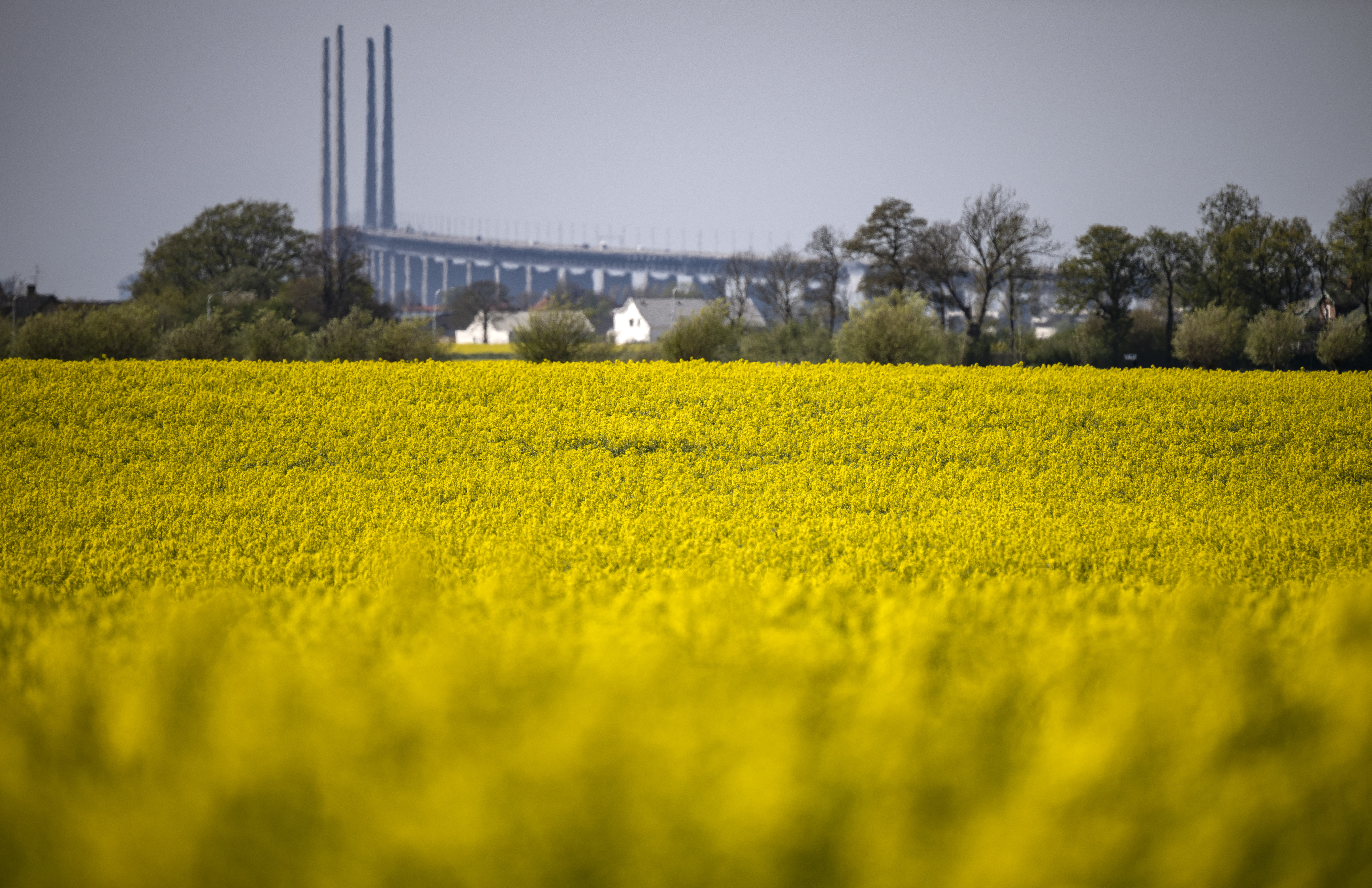 Byggindustrin hoppas på kommande räntesänkningar – kan det innebära en vändning för Skåne? Arkivbild. Foto: Johan Nilsson/TT