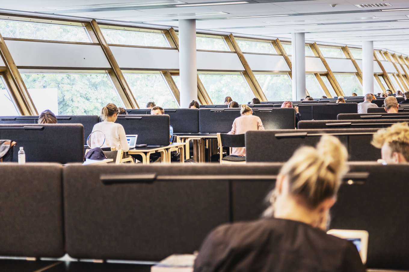 Lärosäten ska inte utforma prov för dem som söker svenskt medborgarskap, hävdar Stockholms universitet. Arkivbild. Foto: Veronica Johansson/SvD/TT