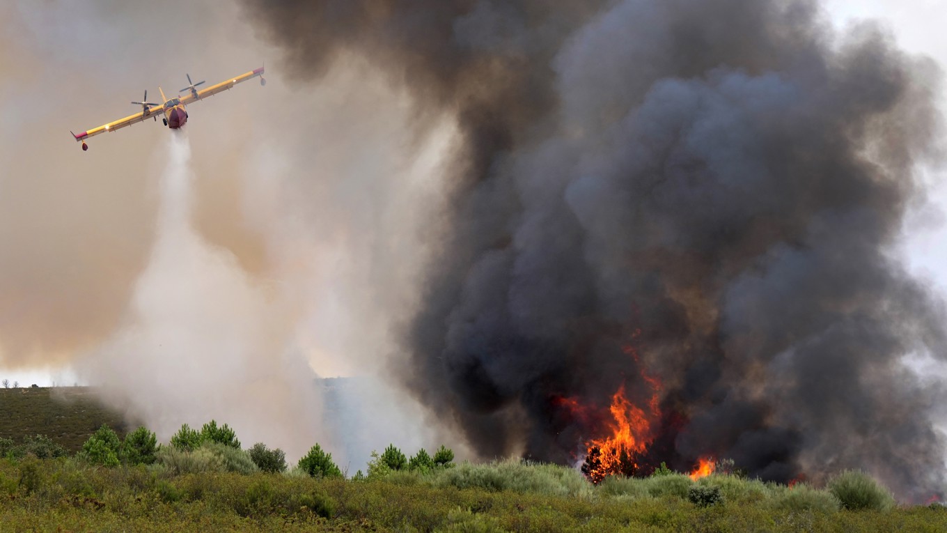 En skogsbrand nära byn Abejera i provinsen Zamora i Spanien den 13 augusti 2025. Foto: Cesar Manso/AFP via Getty Images