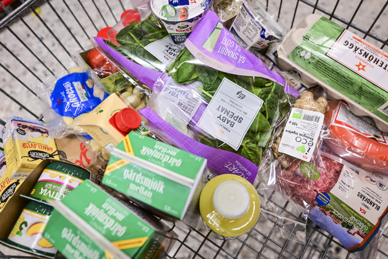Kundvagn med matvaror, bland annat mjölk, spenat, ägg, köttfärs, falukorv och crème fraiche. Foto: Björn Larsson Rosvall/TT