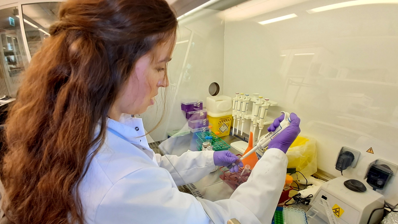 Den nya metoden kan rädda liv och minska risker för antibiotikaresistens. Foto: Pressbild/David Callahan/KTH