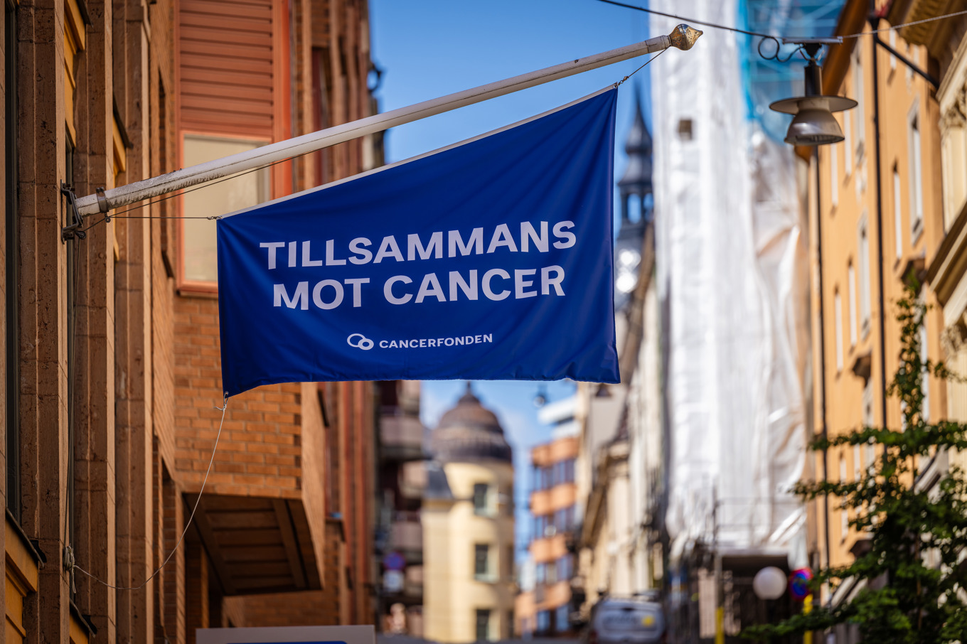 Cancerfonden upprörs över att reklam för mammografi stoppas på Facebook. Arkivbild. Foto: Magnus Lejhall/TT