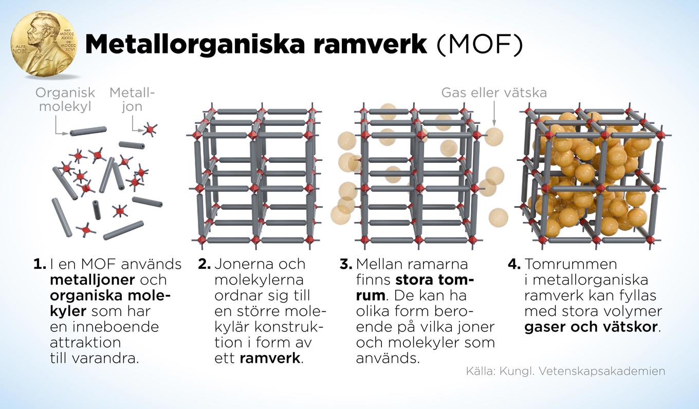 Årets Nobelpristagare i kemi prisas för att de utvecklat en ny form av molekylär arkitektur. Foto: Anders Humlebo/TT