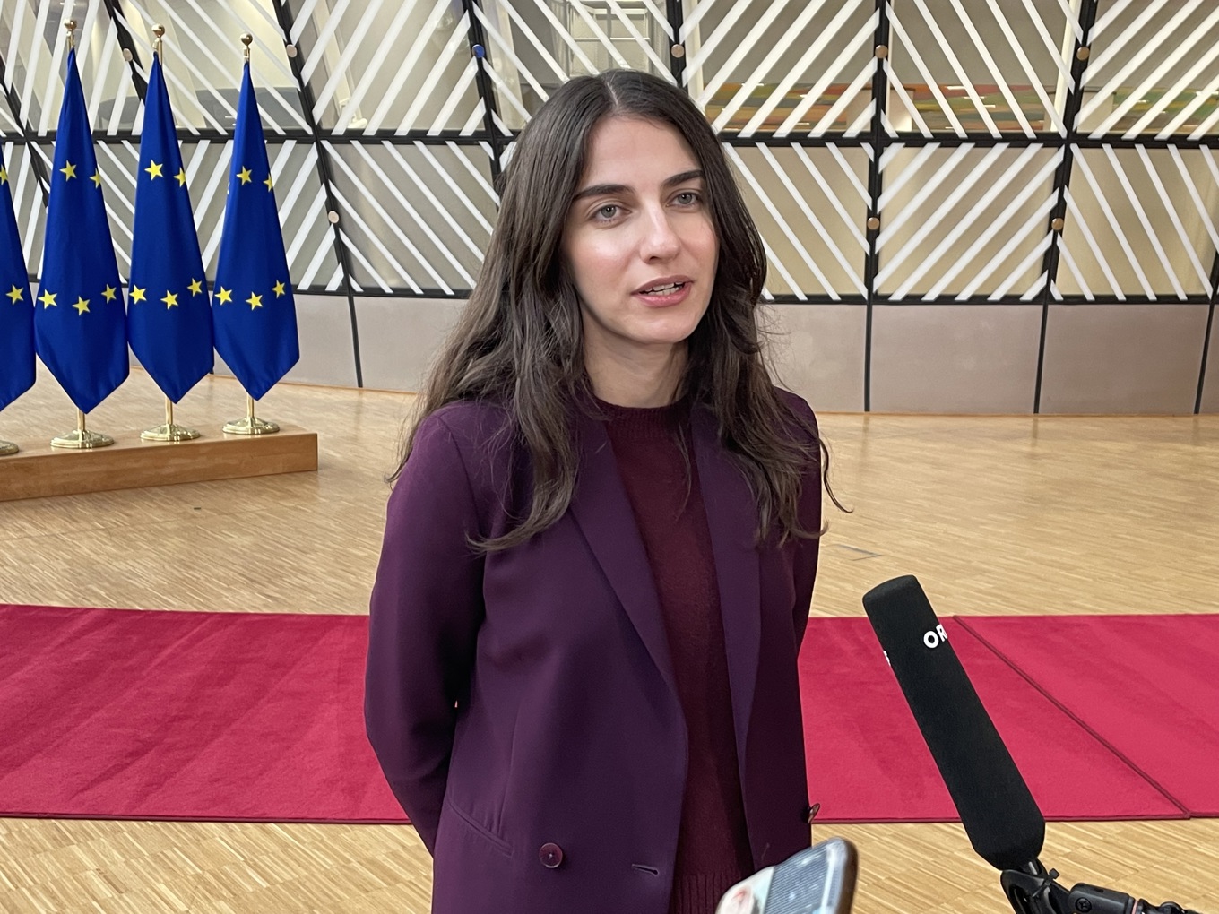 Klimat- och miljöminister Romina Pourmokhtari efter onsdagens EU-möte i Bryssel. Foto: Foto: Wiktor Nummelin/TT