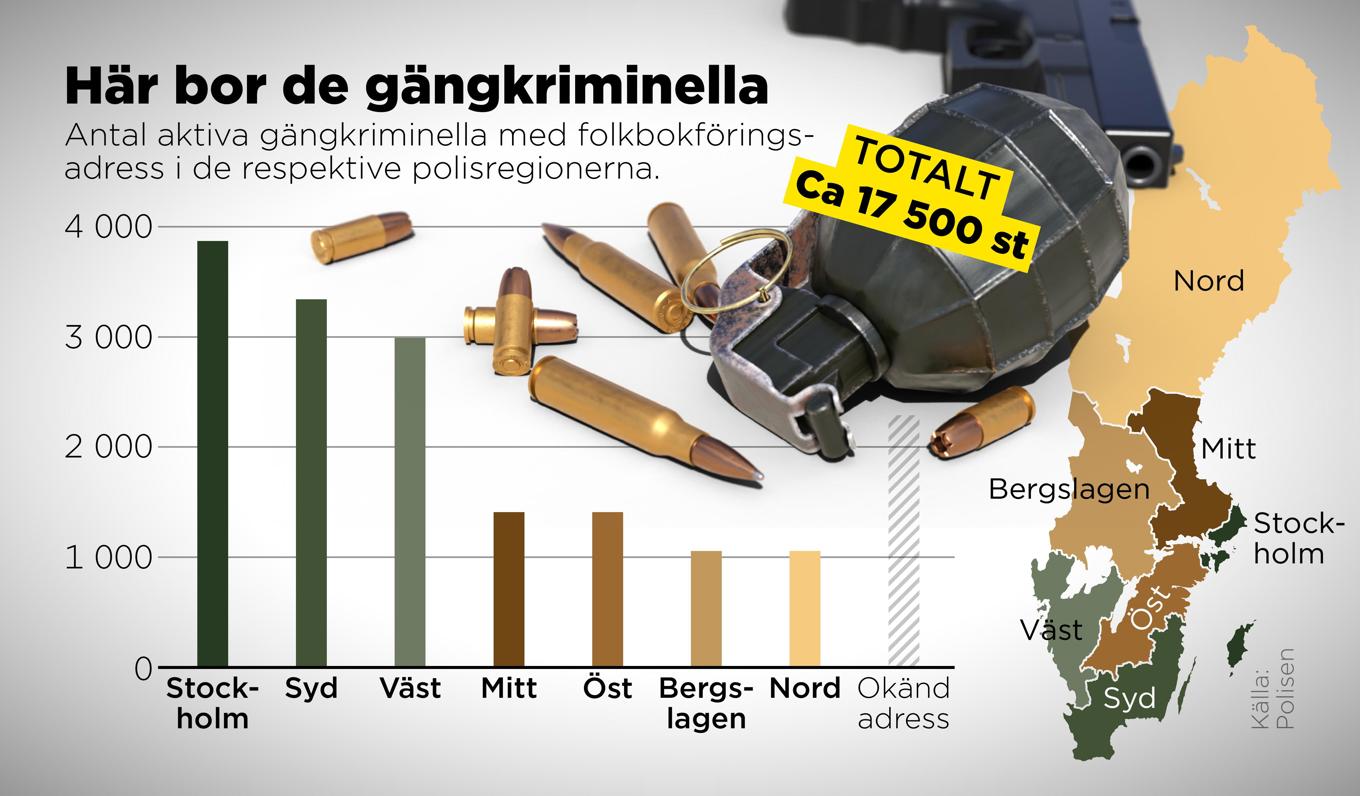 Antal aktiva gängkriminella med folkbokföringsadress i de respektive polisregionerna. Foto: Anders Humlebo/TT