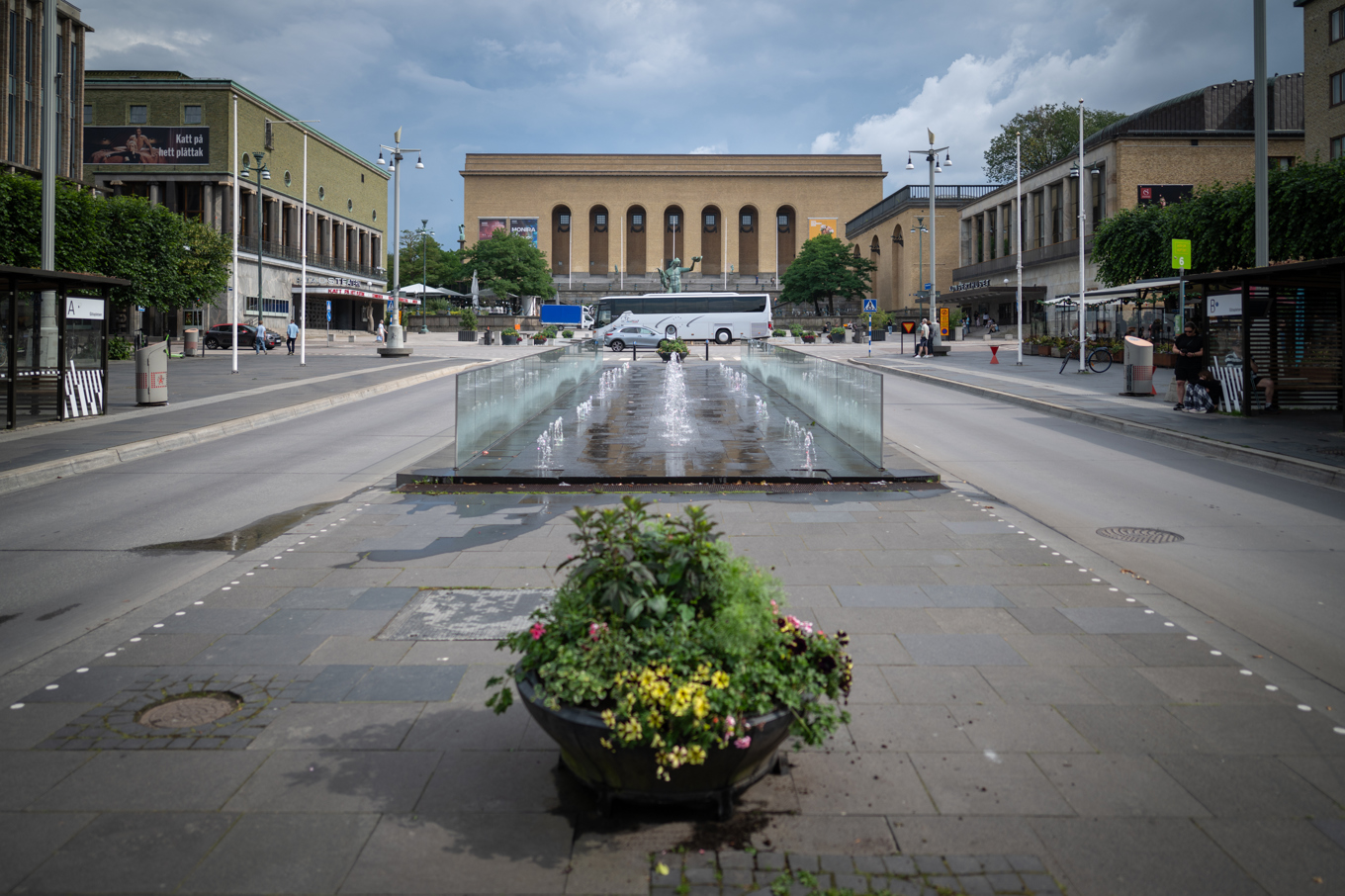 I Göteborg har 384 000 kvadratmeter grönska försvunnit. Foto: Hanna Brunlöf/TT