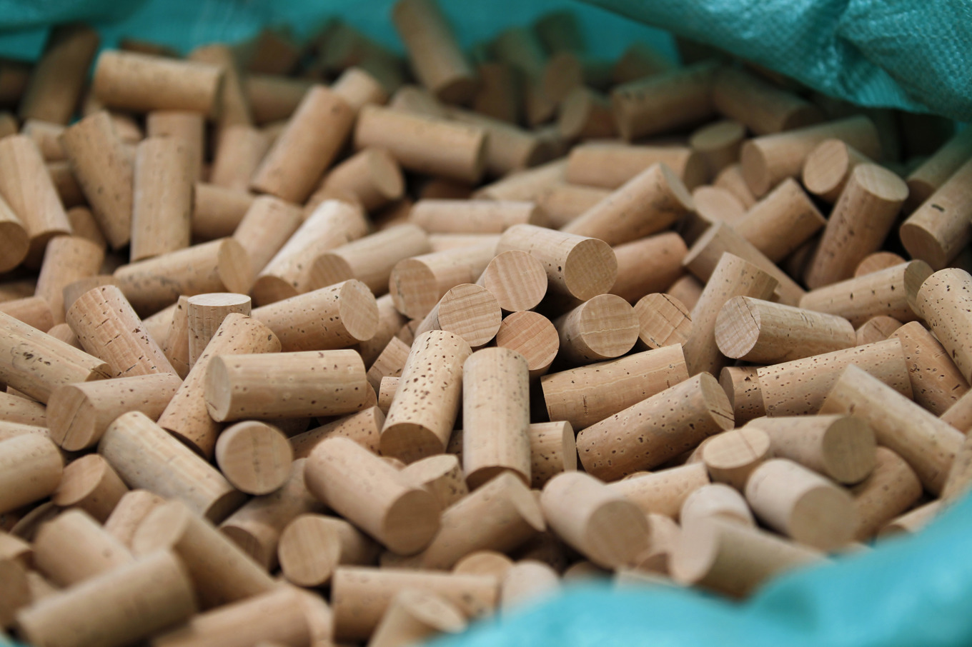 Karlstad blir först i Sverige med att samla in vinkorkar för återvinning i kommunal regi. Arkivbild. Foto: Armando Franca/AP/TT