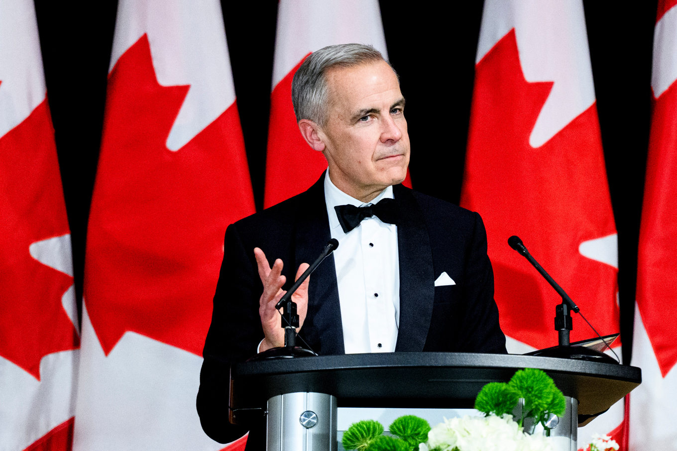 Kanadas premiärminister Mark Carney, bild från i november. Foto: Spencer Colby/AP/TT