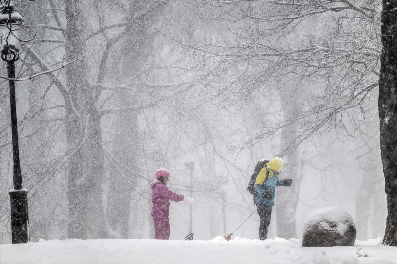 Mer snö väntas i delar av Sverige under onsdagen. Arkivbild. Foto: Anders Wiklund/TT
